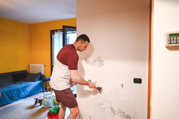 Best Same-Day Mold Removal  in St Marys, OH